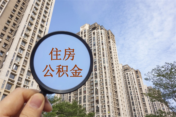 东莞住房公积金怎么交（东莞往房公积金）
